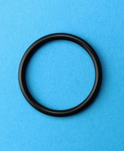 AR002 — O-Ring LECO 156002