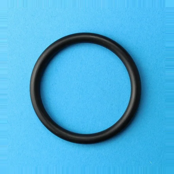 AR172 — O-Ring LECO 604172