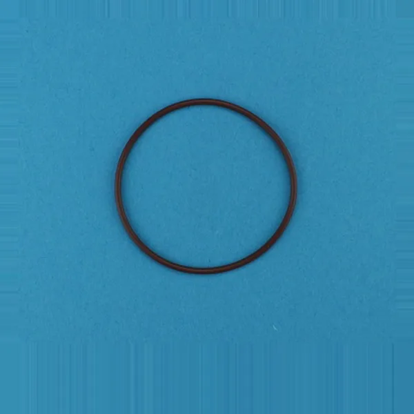 AR3379 — O-Ring LECO 763379