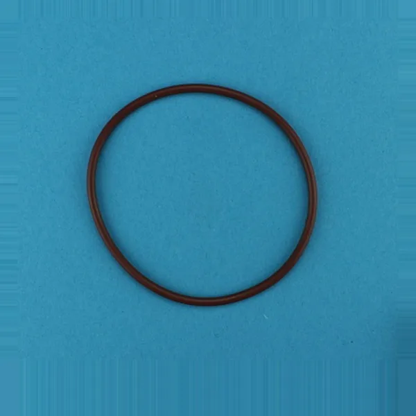 AR481 — O-Ring LECO 805481
