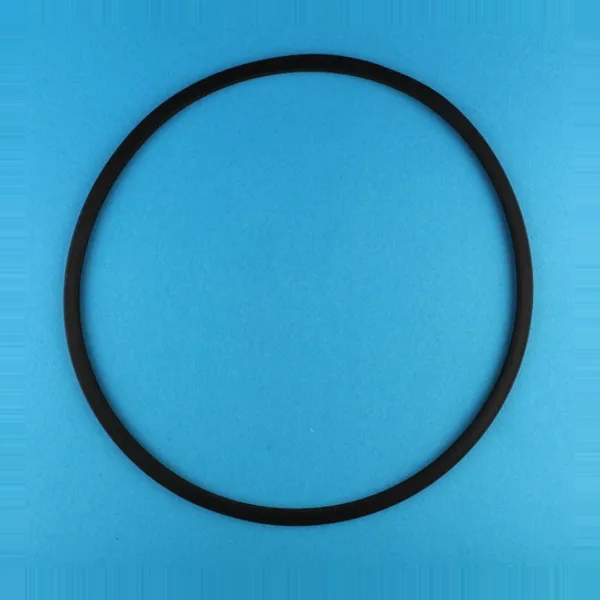 AR781 — Gasket Ballast