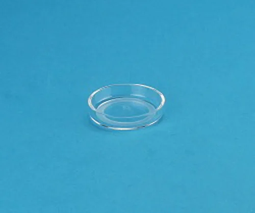 AR8892 — Glass Petri Dish